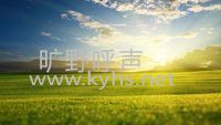�ϵ�Ϊ��Ҫ������
