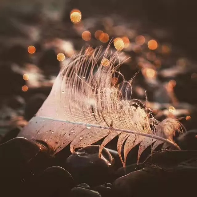 ���⻹��Ҫ��ѭ�Ƶ�