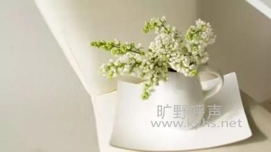 ���޵�һ���̵�����ʲô��