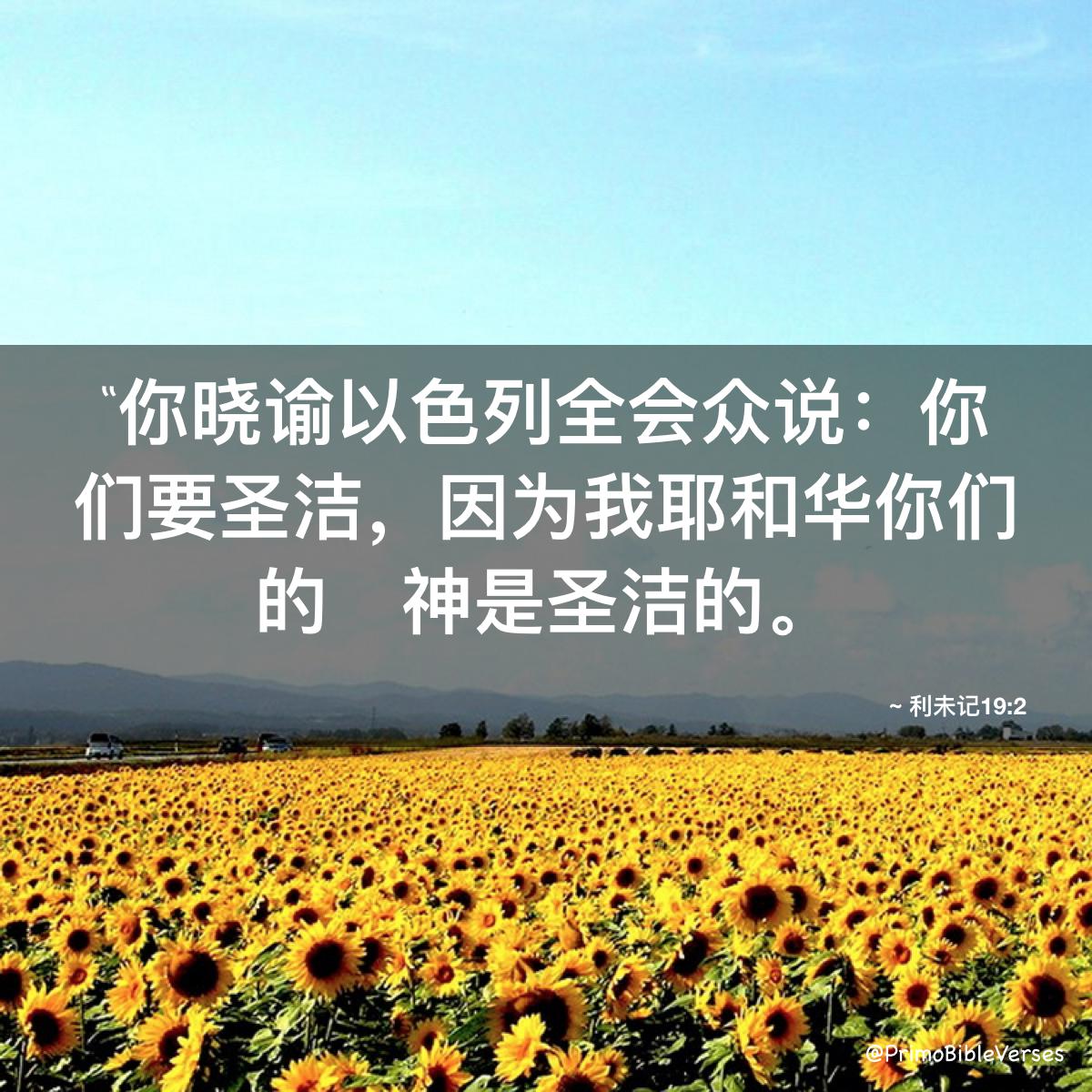 �̷�ص�ʥ�࣬�����谴���