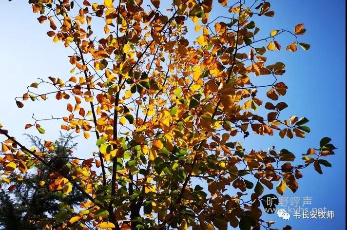 ΢��ͼƬ_20181017223459.jpg