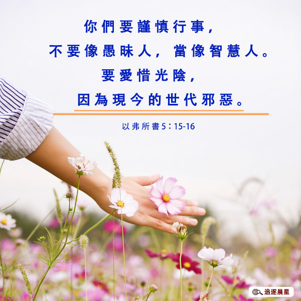 �����ǻ۵���
