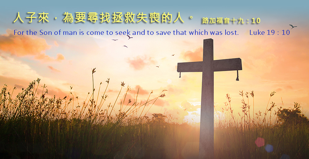 �ǵ����������