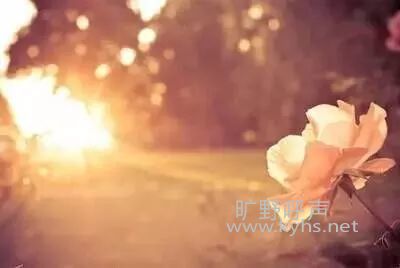 ���ӹ㲥����������������һ�ʾ޴�ĲƸ�