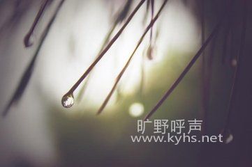 ��Ϊ˽������