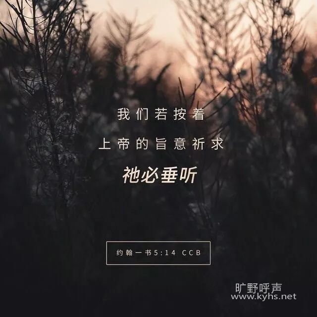 ǫ����������