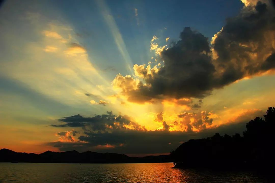 ʤ�����������