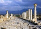 �̻���Ա�ò��䲻�ȣ�