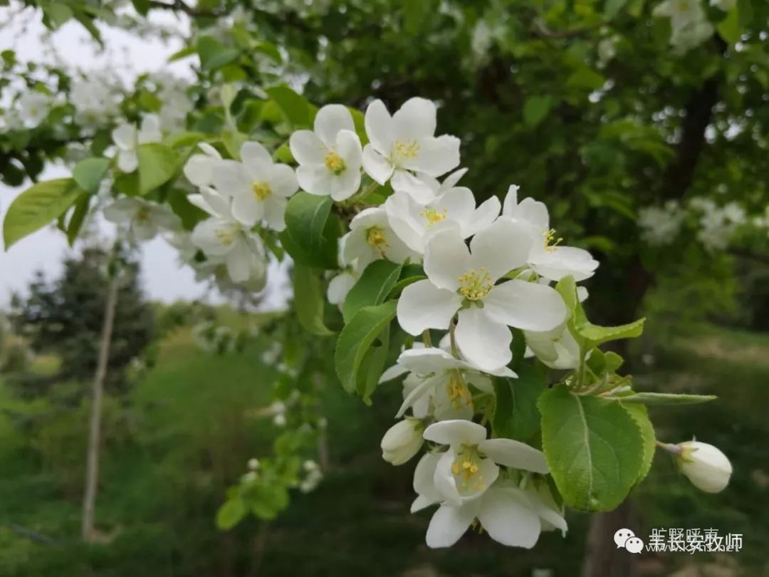 ΰ�����������������˵�����