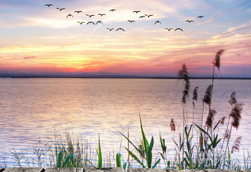 ���Ӳ��ǲ�����