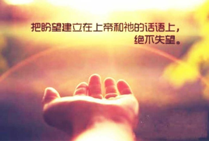 �㿴������
