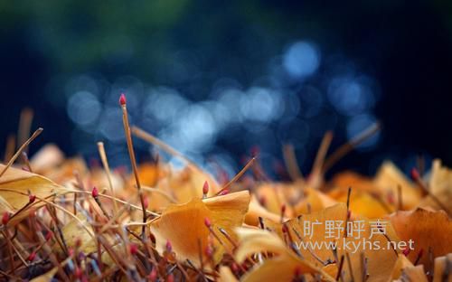 ���ҷ������������ӡ�ǣ��������ֱ�������ǣ�