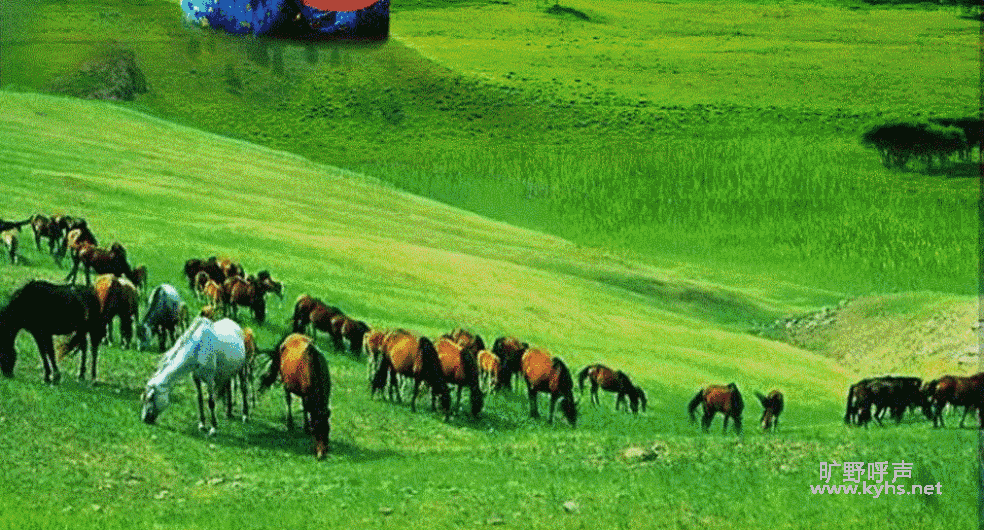 c85b9a8f0969483c92835fadc96bcc6f.gif