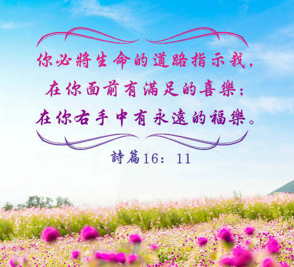 ���õ�����