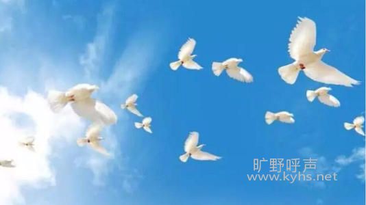 ʥ�齵�ٽڽ��£�ӭ��ʥ�齵��.jpg