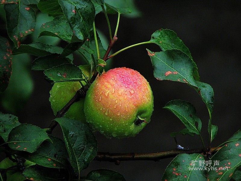 a12655967_s.jpg