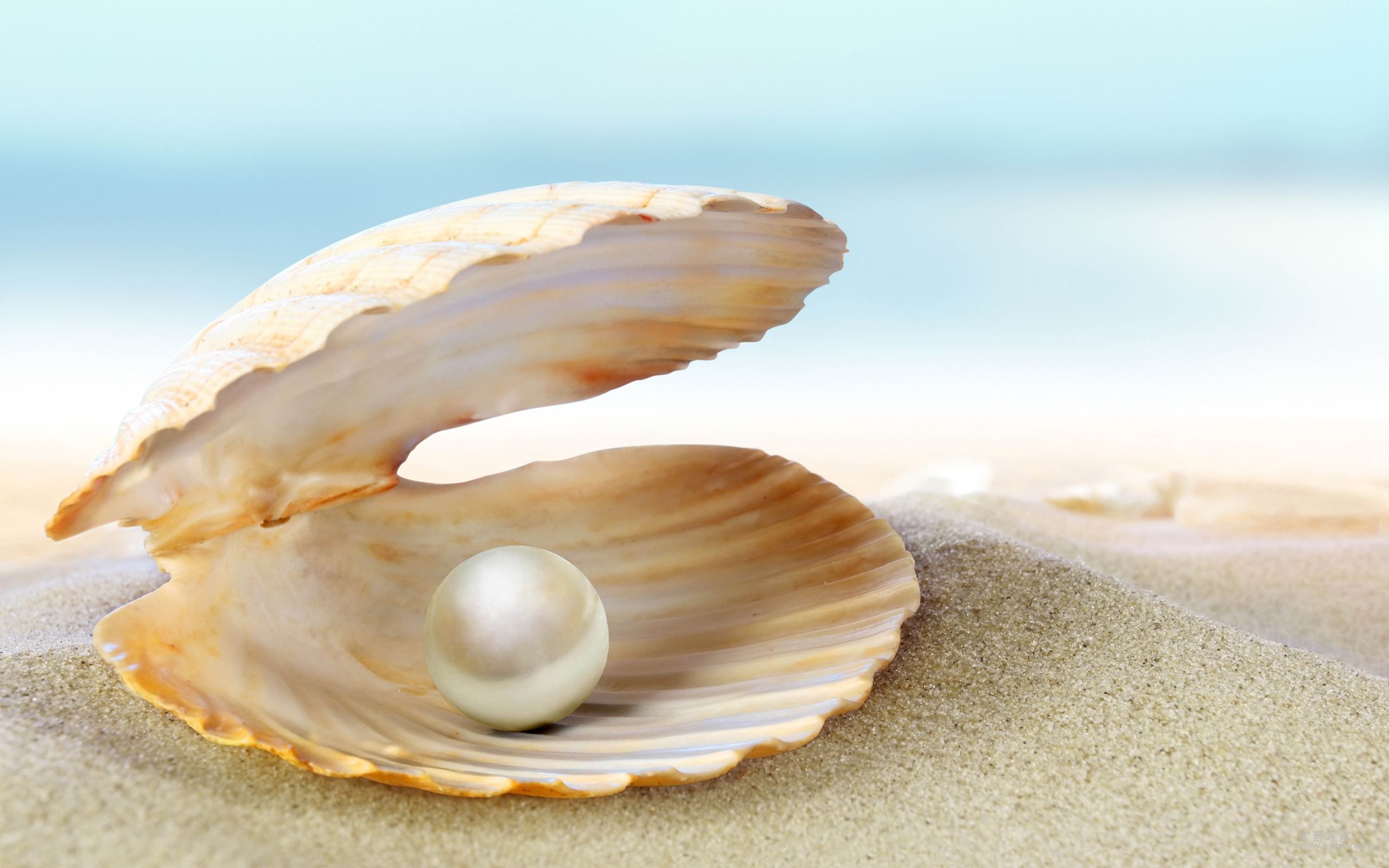 timg_image&quality=80&size=b9999_10000&sec=15641