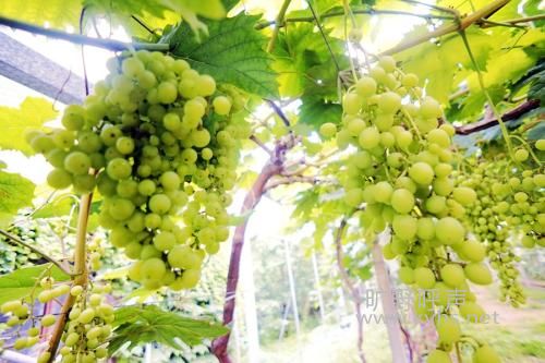���ж��ݵ�����