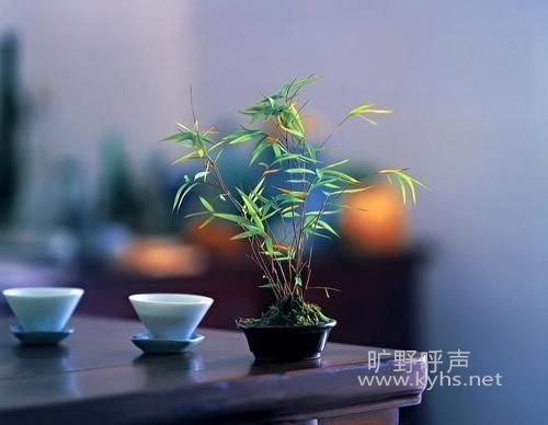 �˼���ζ���延