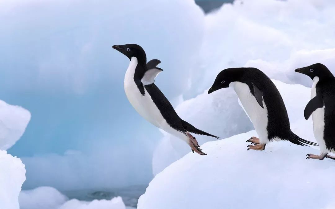 ��һ�����ҵĿ�������