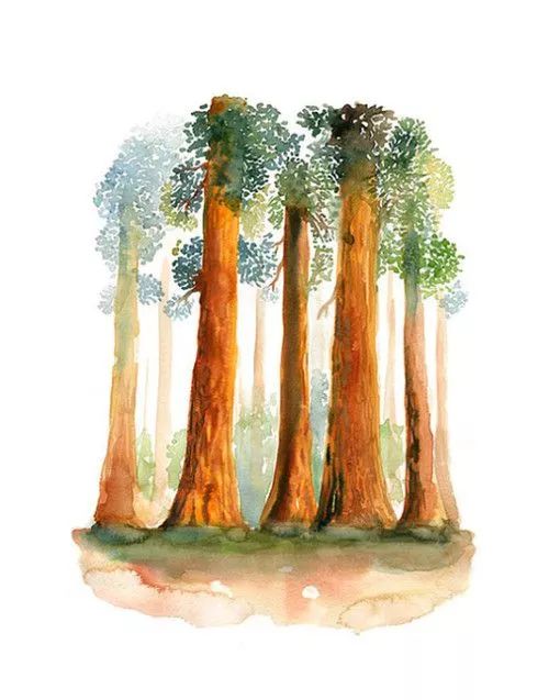 ����ľȶ���ʤ