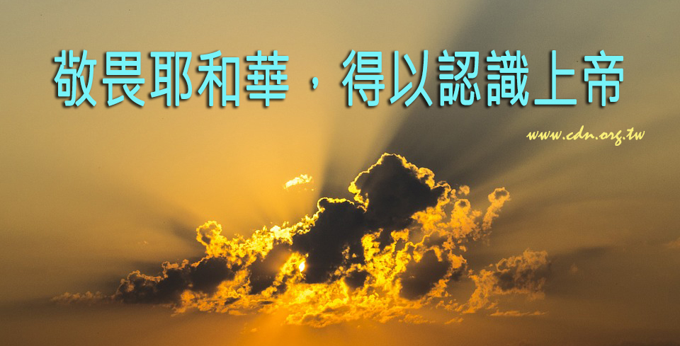 ��ʶ���ǵ�����