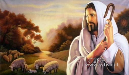 ��Ӧ���ı�֤��Ǻ�