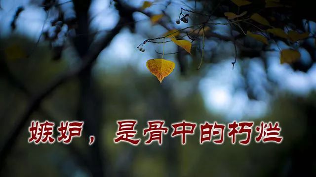 ���ʣ��ǹ��е�����.