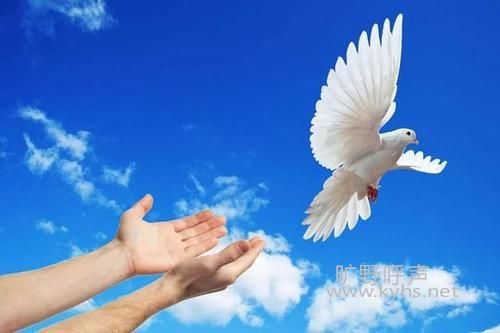 �����ɷ��߱ز�������