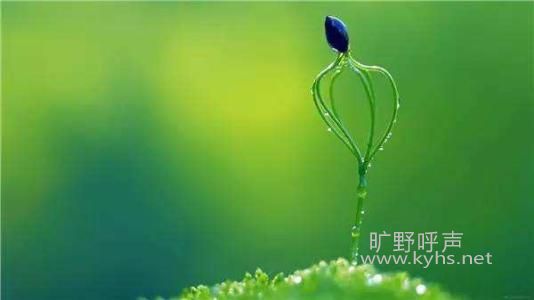 һ���������