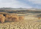 ��Ի��꣬������