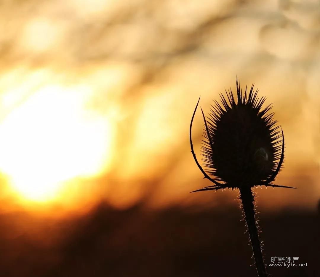 ΢��ͼƬ_20191221165041.jpg