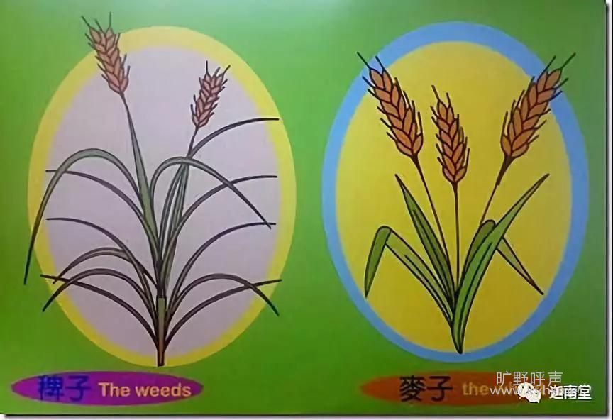 �����Ǽ٣����ж���