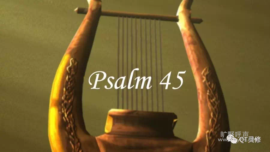 IMG_1403.PNG
