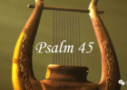 �����ǿ���������ף����ʫ45ƪ��