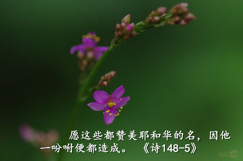 14071416358bdaf3730712d37b.jpg