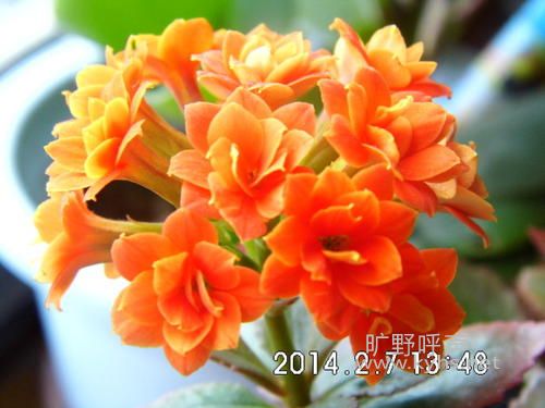 u=2419029817,3594749474&fm=26&gp=0.jpg