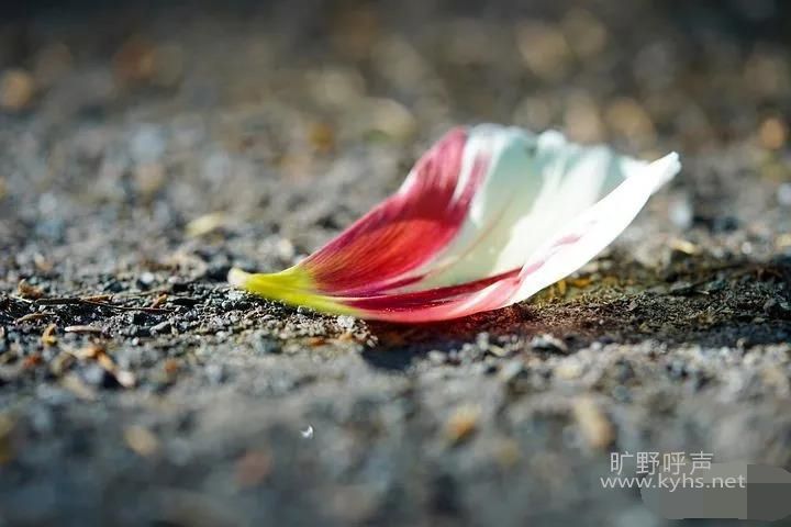 ΢��ͼƬ_20200731205142_��ͼ��.jpg