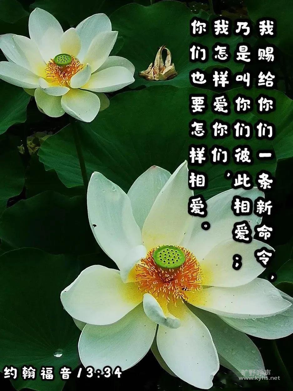 �����ı�����ί����Խ���ҵ���Խȱ����ȫ��