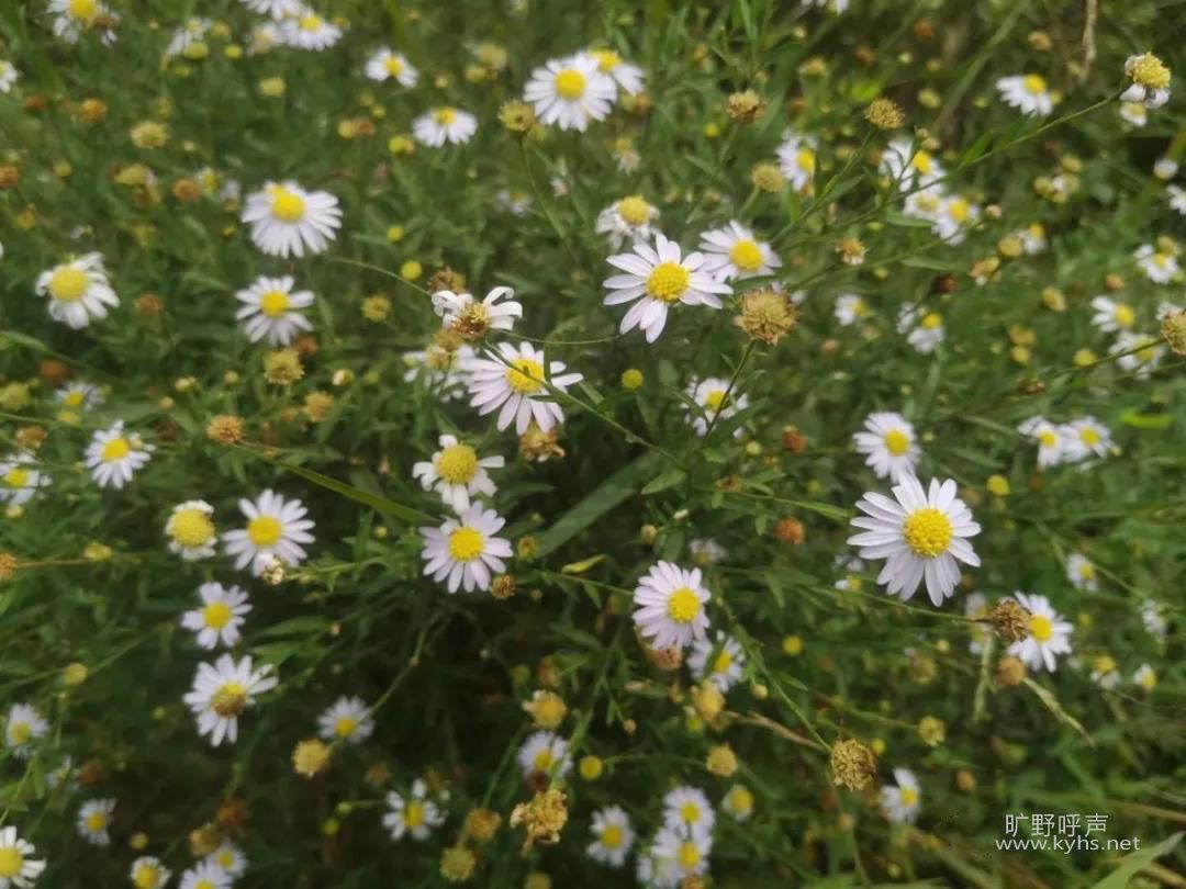 �ʹ�����ȡ����Ӧ�����ж�