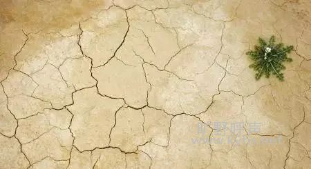 ΢��ͼƬ_20200812192951.jpg