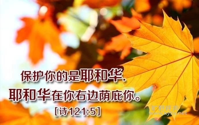 ��ιػ��̻����м������ˣ�