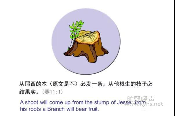 微信图片_20200804061416.jpg
