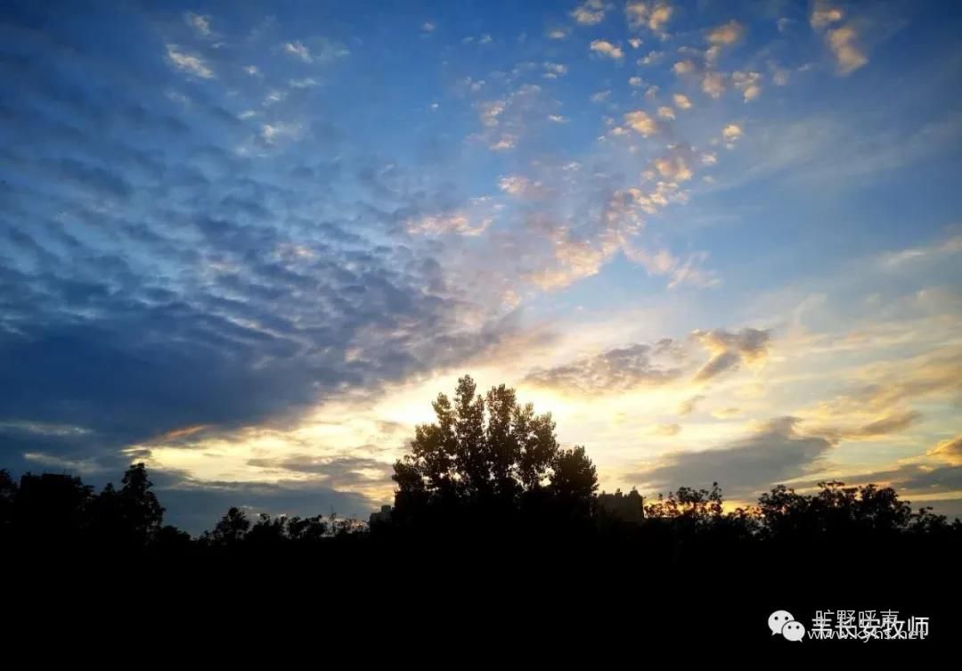 ���л��õ�������