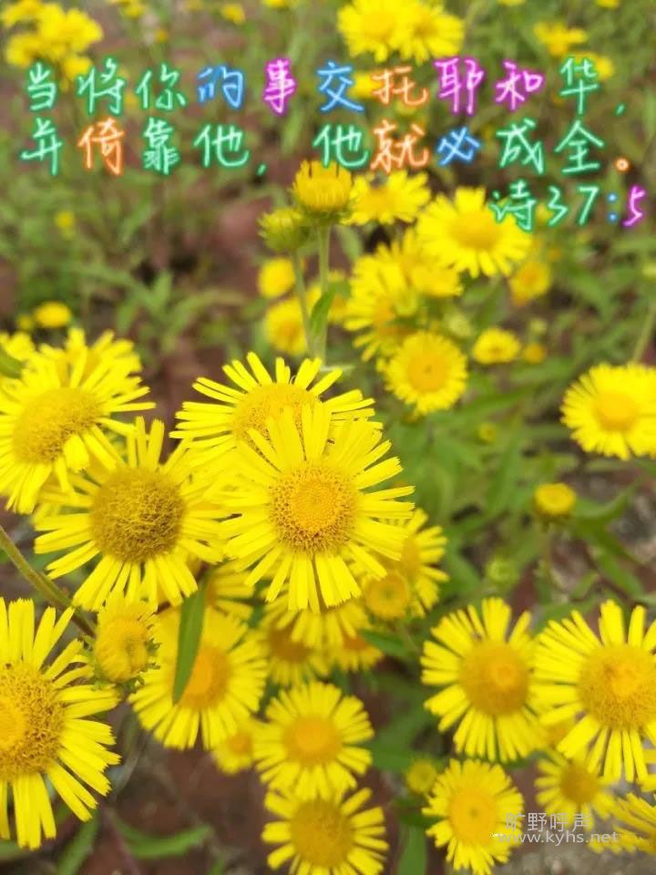 ΢��ͼƬ_20200806092643.jpg