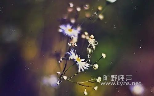 ΢��ͼƬ_20200823141624.jpg