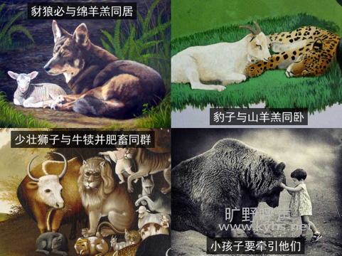 微信图片_20200804061543.png