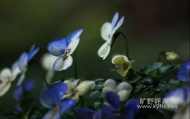 ΢��ͼƬ_20200829201351.jpg