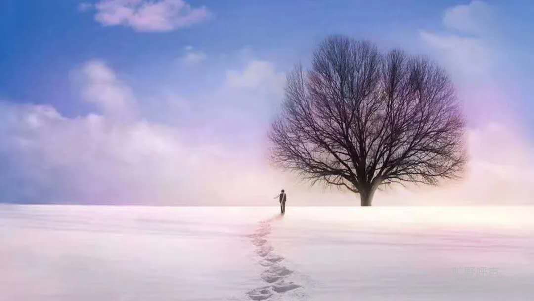 ΢��ͼƬ_20200812194656.jpg