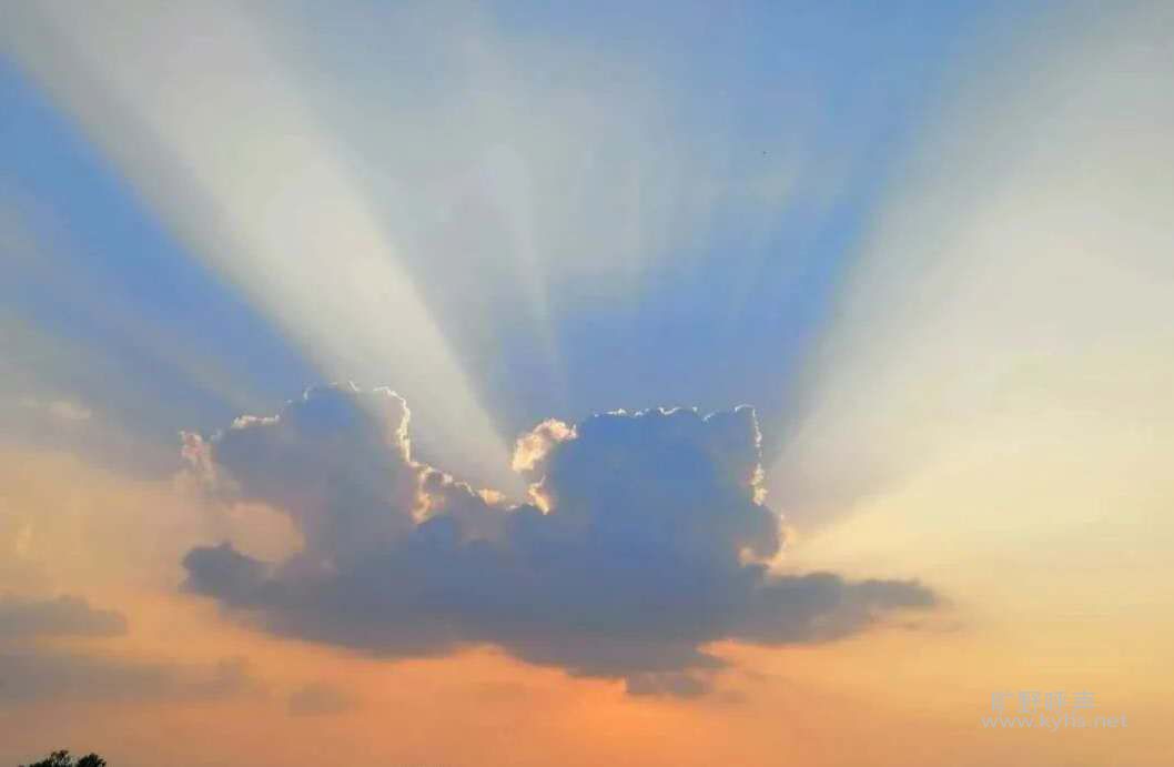 �ϵ�˵��������ָʾ�ҡ�